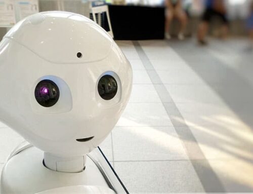 Innovazione e Cultura: quali sono i settori più all’avanguardia?